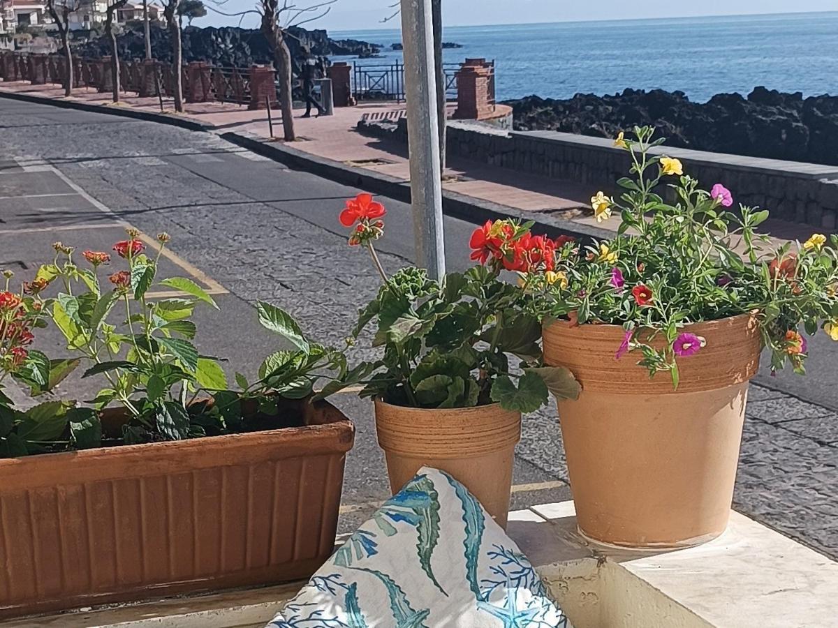 Nice Sicily Little Family Home アチレアーレ エクステリア 写真